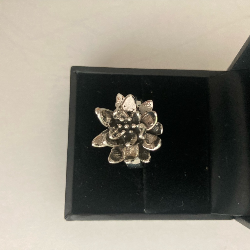 SEED & SAGE Sterling silver sculptural ring made in Mexico